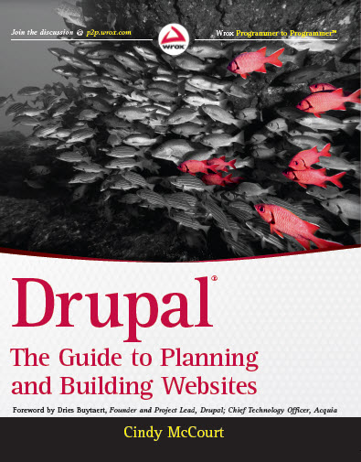 Drupal: The Guide to Planning and Building Website book cover